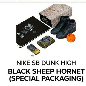 Black sheep Hornet